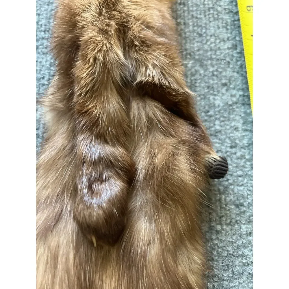 VTG Stone Marten Real Fur Scarf Taxidermy w/ Paws Tail Shawl Wrap Neck Warmer